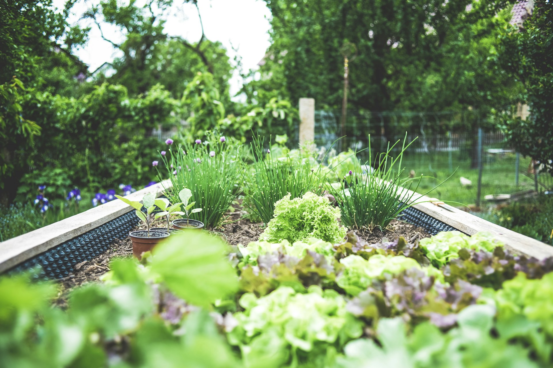 Jardinería